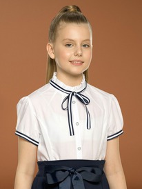 12.04  Pelican ������ ��� ������� GWCT7117 �����