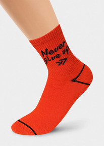 �����  Clever ����� ������� ��� ������� CLE �4284 16-18,18-20 �������