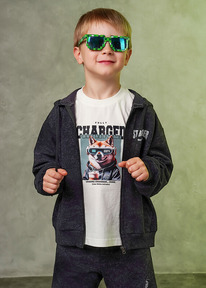 �����  Clever ��������� ������� ��� �������� CLE 867304/10��_� �.�����/������