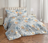 ������� ������������ �� ������� 2�� � ������������