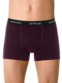 22.05 DiWaRi ����� ������� DIWARI BASIC MEN MSH 2147 20�-1076��� dark bordo MSH 