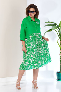 ������ Anastasia 1107 ����-�������