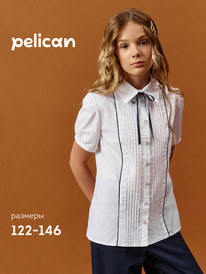 01.06 Pelican ������ ��� ������� GWCT7110 �����