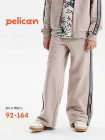 01.06 Pelican ����� ��� ��������� BFPQ3389U ������-�����