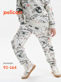 01.06 Pelican ����� ��� ��������� BFPQ3389/3 ��������