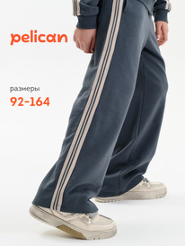 01.06 Pelican ����� ��� ��������� BFPQ3389/1U �����