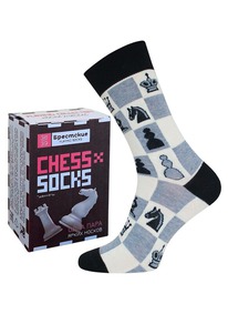 02.06 ��������� ������� ��������� ����� 4200� CHESS 21�4200� �.����� 146 (������