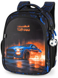 19.07 SkyName ������ SkyName RK-619 + ������ ����� RK-619