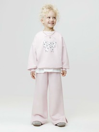 08.07 Crockid ����� ��� ��� �� 400935/������-������� 2803 �737
