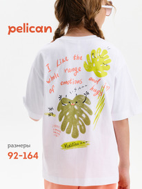 13.07 Pelican �������� ��� ������� GFT3390/1 �����