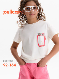 13.07 Pelican �������� ��� ������� GFT3388/2 ��������