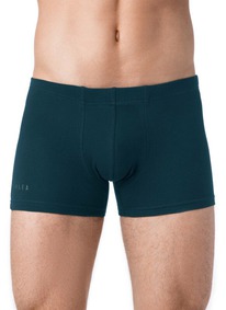 30.09 ��������� ������� ALFA ����� ������� BOXER SHORTS 6300 16�6300 ���������