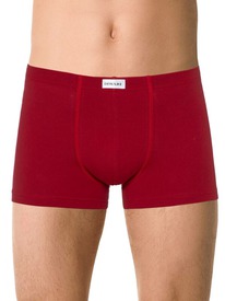 30.09 DiWaRi ����� ������� DIWARI BASIC MEN MSH 2127 20�-1073��� dark red MSH 21