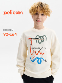 02.10 Pelican ��������� ��� ���������