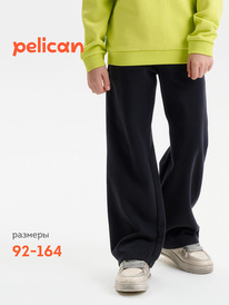 02.10 Pelican ����� ��� ���������