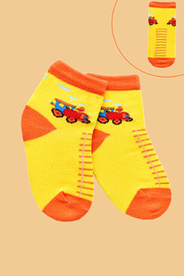 ����� ��������� �������