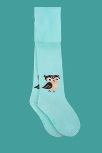 �������� ���� �������