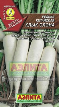 ���� ����� ������